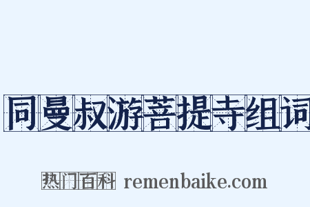 同曼叔游菩提寺组词是什么意思的图片